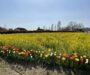 令和5年度4月入園募集開始🌷